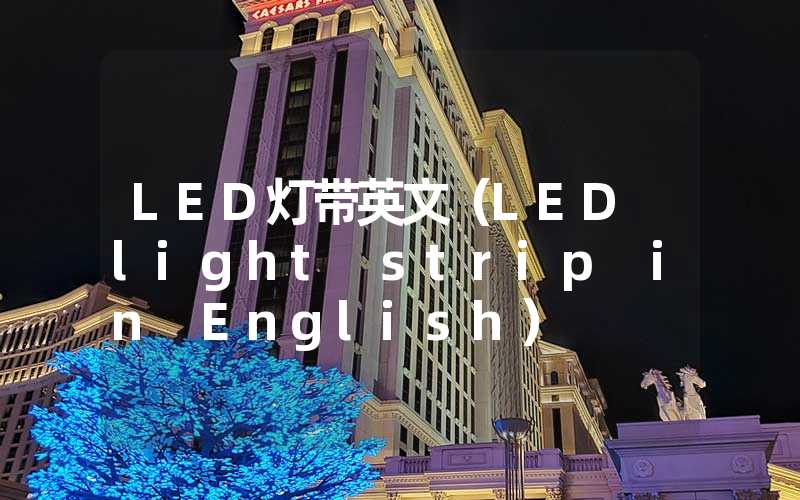 LED灯带英文（LED light strip in English）